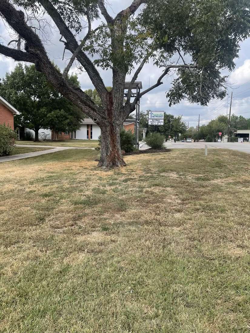 Well-maintained church grounds in Magnolia, TX